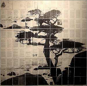 mike saijo. cypress. 2005