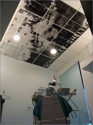 mike saijo. etn schindler shelter ceiling. 2009