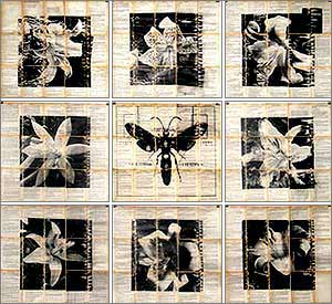 mike saijo. wasp and flowers. 2006